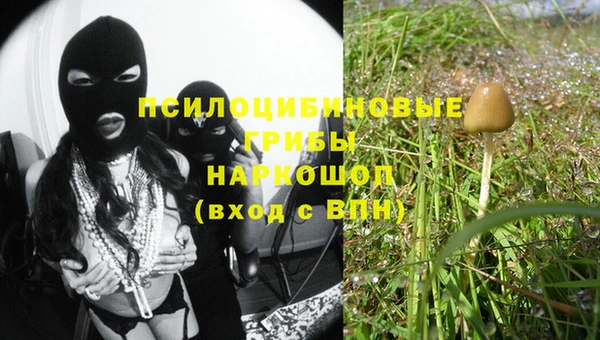 дурь Волоколамск